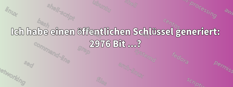 Ich habe einen öffentlichen Schlüssel generiert: 2976 Bit ...?