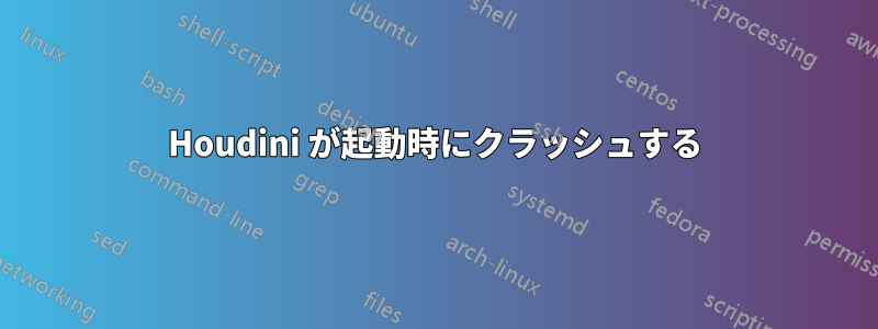 Houdini が起動時にクラッシュする