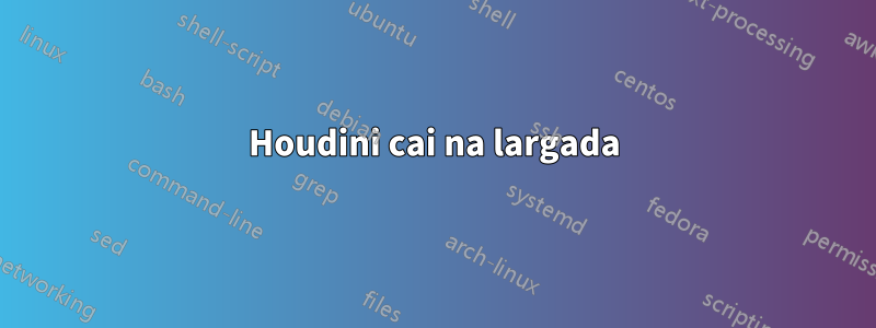 Houdini cai na largada