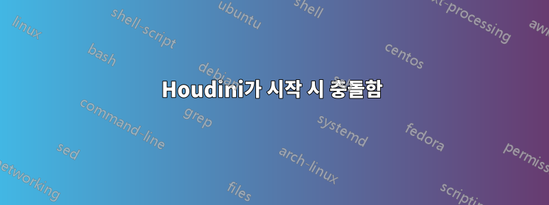 Houdini가 시작 시 충돌함