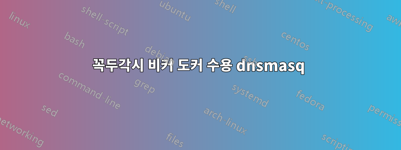 꼭두각시 비커 도커 수용 dnsmasq