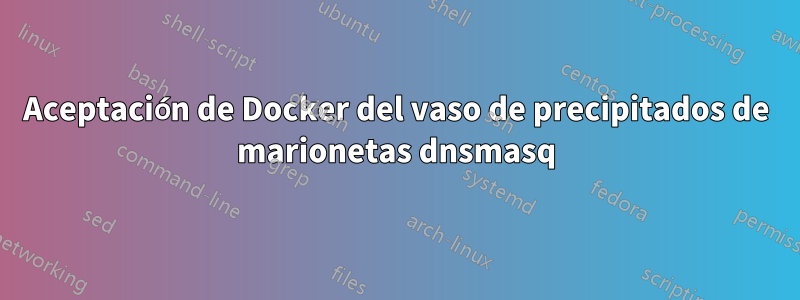 Aceptación de Docker del vaso de precipitados de marionetas dnsmasq