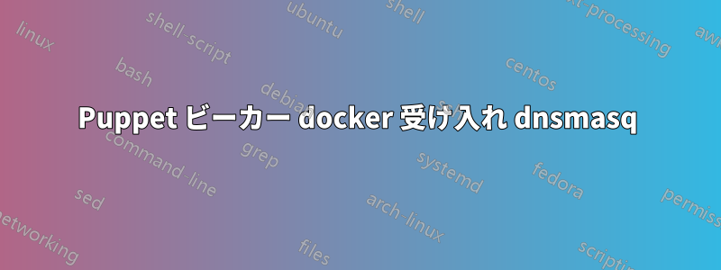 Puppet ビーカー docker 受け入れ dnsmasq