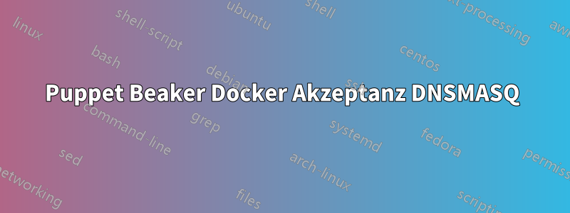 Puppet Beaker Docker Akzeptanz DNSMASQ