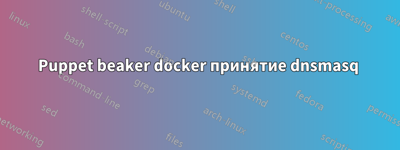 Puppet beaker docker принятие dnsmasq