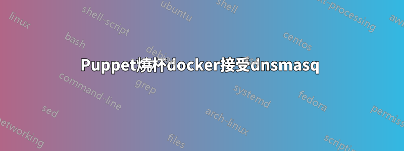 Puppet燒杯docker接受dnsmasq