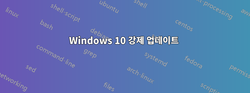 Windows 10 강제 업데이트