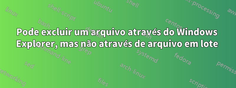 Pode excluir um arquivo através do Windows Explorer, mas não através de arquivo em lote