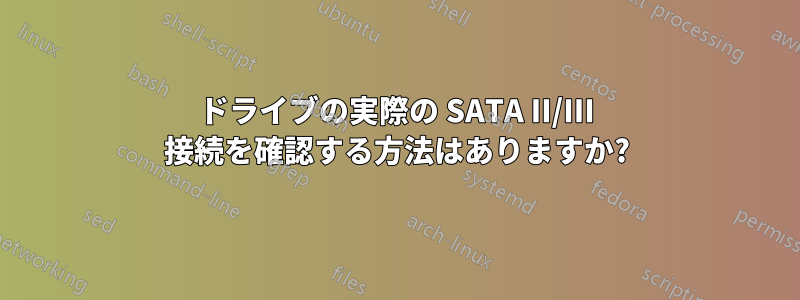 ドライブの実際の SATA II/III 接続を確認する方法はありますか?