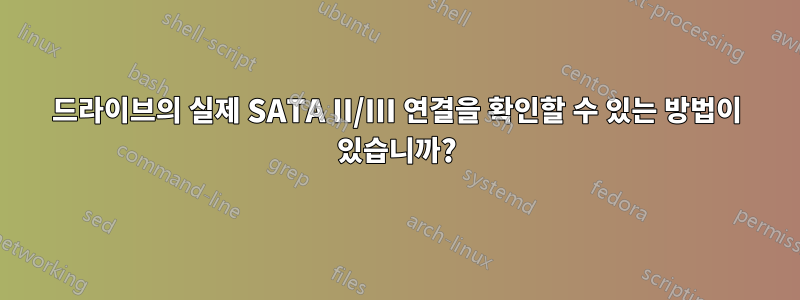 드라이브의 실제 SATA II/III 연결을 확인할 수 있는 방법이 있습니까?