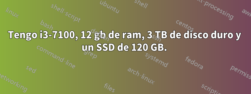 Tengo i3-7100, 12 gb de ram, 3 TB de disco duro y un SSD de 120 GB.