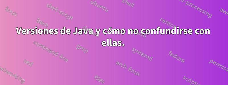 Versiones de Java y cómo no confundirse con ellas.