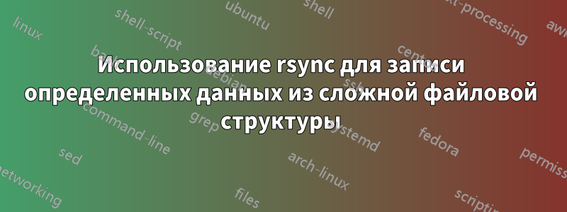 Использование rsync для записи определенных данных из сложной файловой структуры