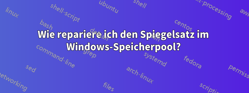 Wie repariere ich den Spiegelsatz im Windows-Speicherpool?