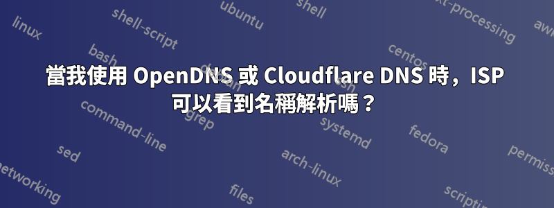 當我使用 OpenDNS 或 Cloudflare DNS 時，ISP 可以看到名稱解析嗎？