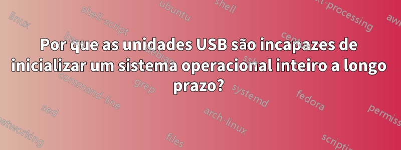 Por que as unidades USB são incapazes de inicializar um sistema operacional inteiro a longo prazo?