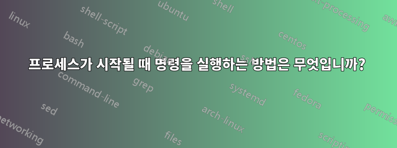 프로세스가 시작될 때 명령을 실행하는 방법은 무엇입니까?