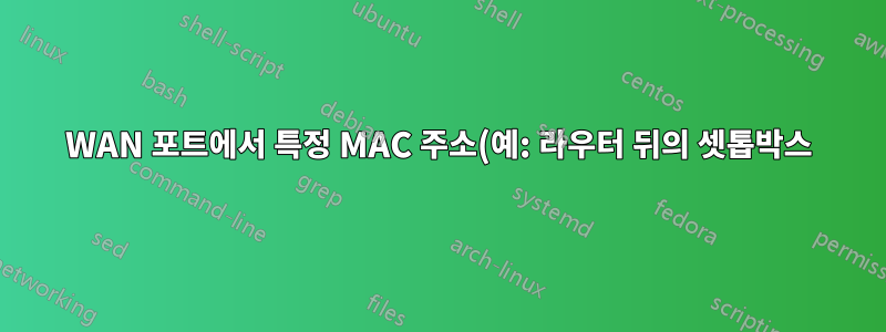 WAN 포트에서 특정 MAC 주소(예: 라우터 뒤의 셋톱박스)로 패킷을 브리지합니다.