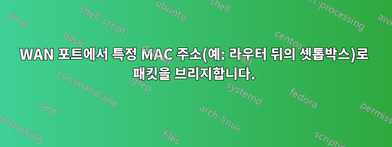 WAN 포트에서 특정 MAC 주소(예: 라우터 뒤의 셋톱박스)로 패킷을 브리지합니다.