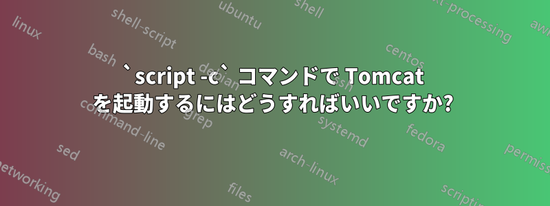 `script -c` コマンドで Tomcat を起動するにはどうすればいいですか?