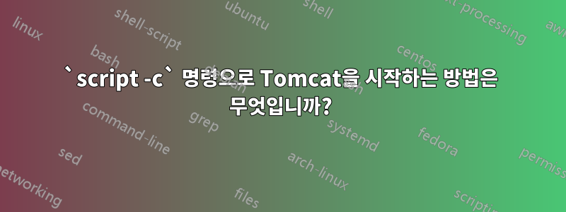 `script -c` 명령으로 Tomcat을 시작하는 방법은 무엇입니까?