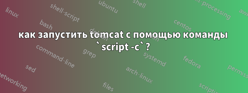 как запустить tomcat с помощью команды `script -c`?