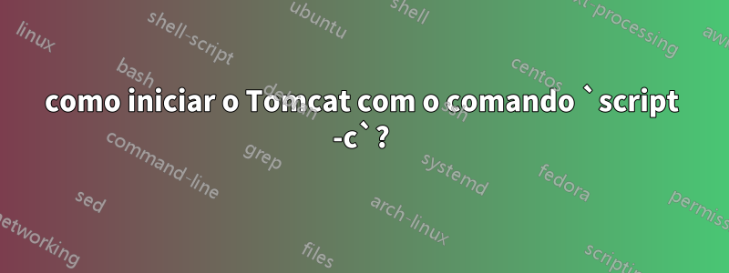 como iniciar o Tomcat com o comando `script -c`?