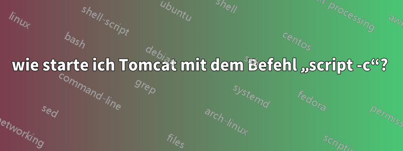 wie starte ich Tomcat mit dem Befehl „script -c“?