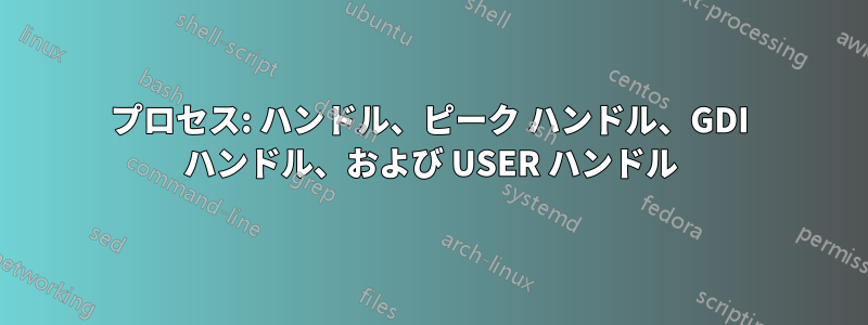 プロセス: ハンドル、ピーク ハンドル、GDI ハンドル、および USER ハンドル