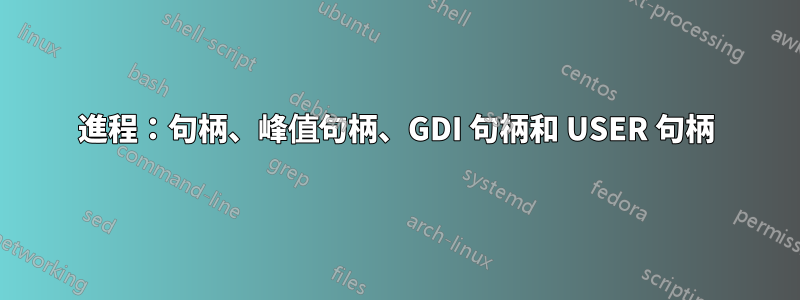 進程：句柄、峰值句柄、GDI 句柄和 USER 句柄