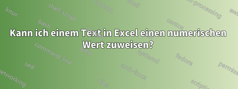 Kann ich einem Text in Excel einen numerischen Wert zuweisen?