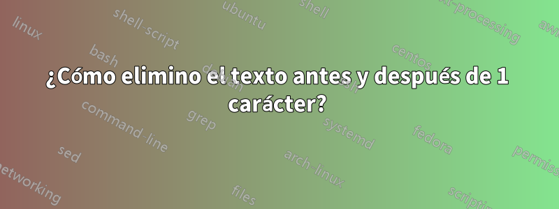 ¿Cómo elimino el texto antes y después de 1 carácter?