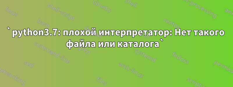 `python3.7: плохой интерпретатор: Нет такого файла или каталога`