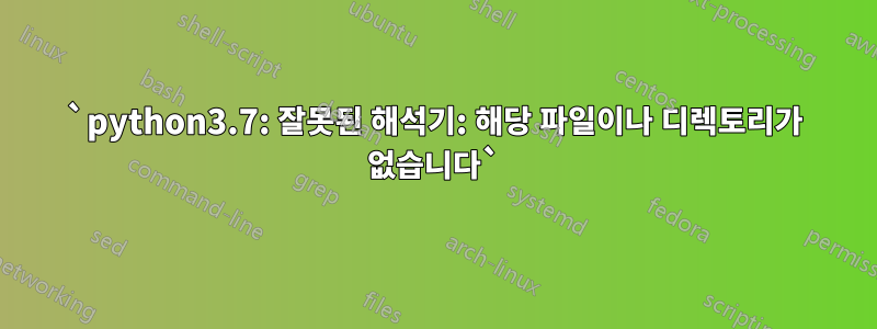 `python3.7: 잘못된 해석기: 해당 파일이나 디렉토리가 없습니다`