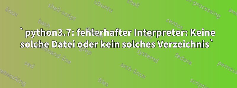 `python3.7: fehlerhafter Interpreter: Keine solche Datei oder kein solches Verzeichnis`