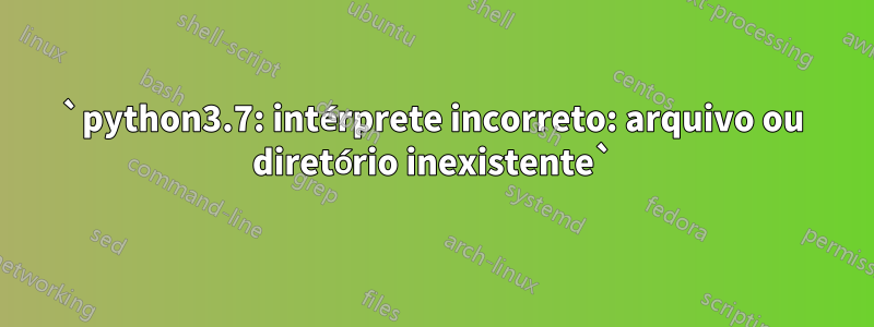 `python3.7: intérprete incorreto: arquivo ou diretório inexistente`