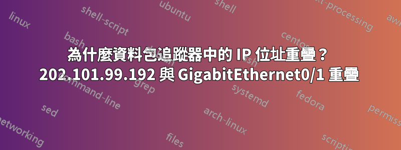 為什麼資料包追蹤器中的 IP 位址重疊？ 202.101.99.192 與 GigabitEthernet0/1 重疊