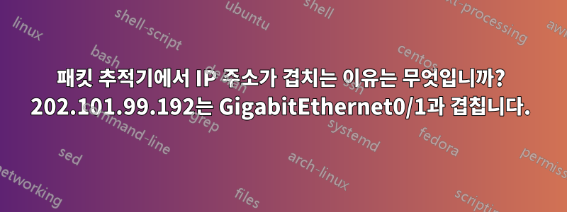 패킷 추적기에서 IP 주소가 겹치는 이유는 무엇입니까? 202.101.99.192는 GigabitEthernet0/1과 겹칩니다.