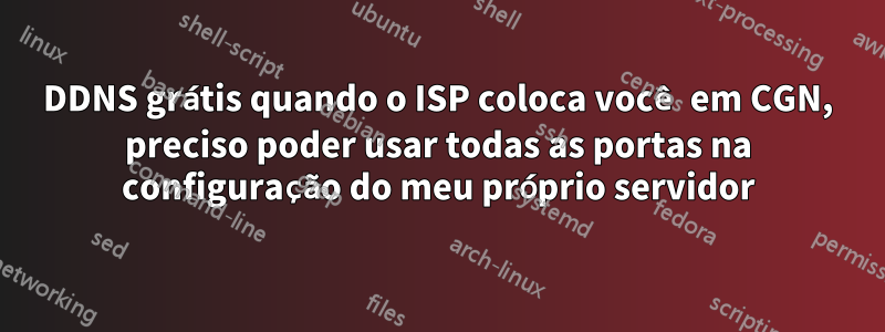 DDNS grátis quando o ISP coloca você em CGN, preciso poder usar todas as portas na configuração do meu próprio servidor