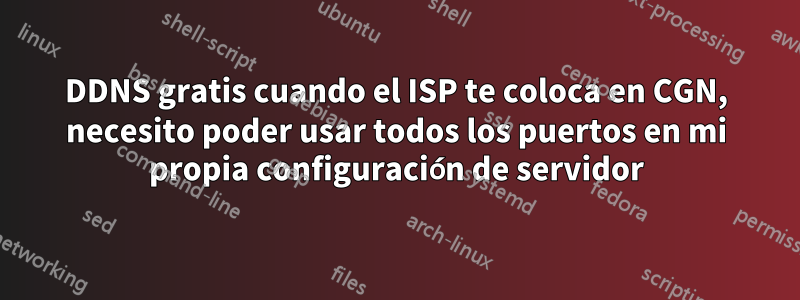 DDNS gratis cuando el ISP te coloca en CGN, necesito poder usar todos los puertos en mi propia configuración de servidor