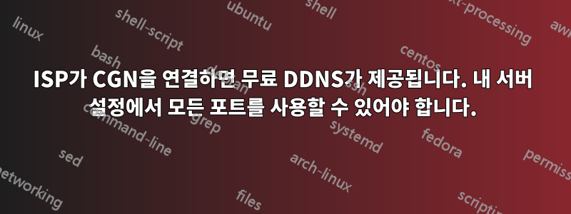 ISP가 CGN을 연결하면 무료 DDNS가 제공됩니다. 내 서버 설정에서 모든 포트를 사용할 수 있어야 합니다.