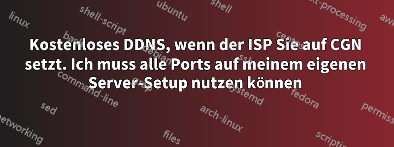 Kostenloses DDNS, wenn der ISP Sie auf CGN setzt. Ich muss alle Ports auf meinem eigenen Server-Setup nutzen können