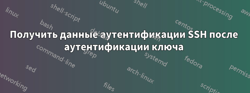 Получить данные аутентификации SSH после аутентификации ключа