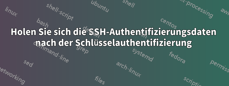 Holen Sie sich die SSH-Authentifizierungsdaten nach der Schlüsselauthentifizierung