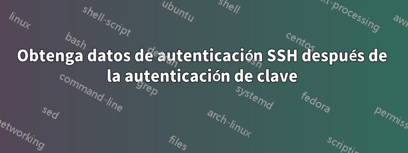 Obtenga datos de autenticación SSH después de la autenticación de clave