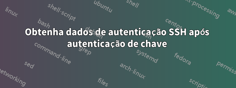 Obtenha dados de autenticação SSH após autenticação de chave