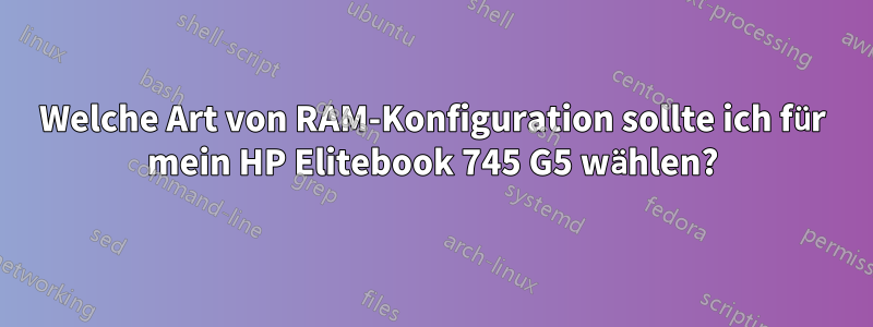 Welche Art von RAM-Konfiguration sollte ich für mein HP Elitebook 745 G5 wählen?