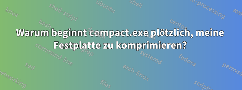 Warum beginnt compact.exe plötzlich, meine Festplatte zu komprimieren?