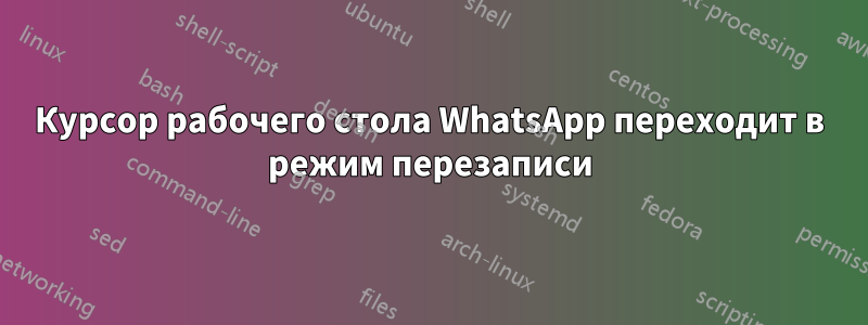 Курсор рабочего стола WhatsApp переходит в режим перезаписи