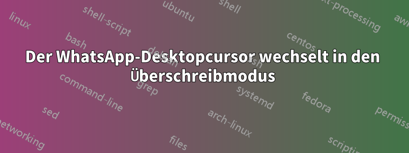 Der WhatsApp-Desktopcursor wechselt in den Überschreibmodus